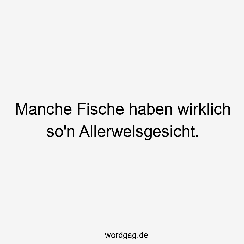 Manche Fische haben wirklich so’n Allerwelsgesicht.