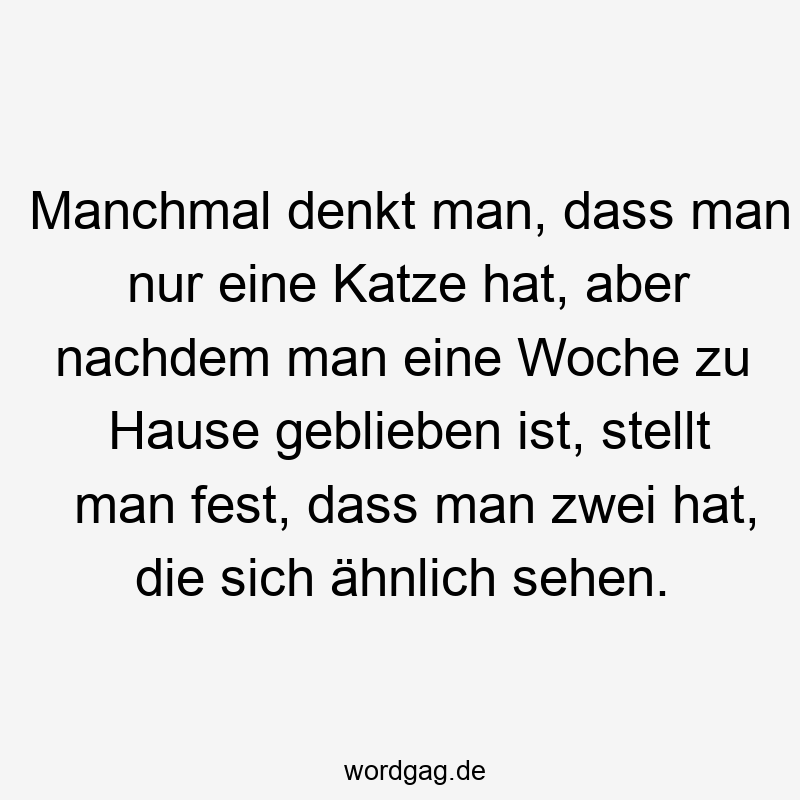 Manchmal denkt man, dass man nur eine Katze hat, aber nachdem man eine Woche zu Hause geblieben ist, stellt man fest, dass man zwei hat, die sich ähnlich sehen.