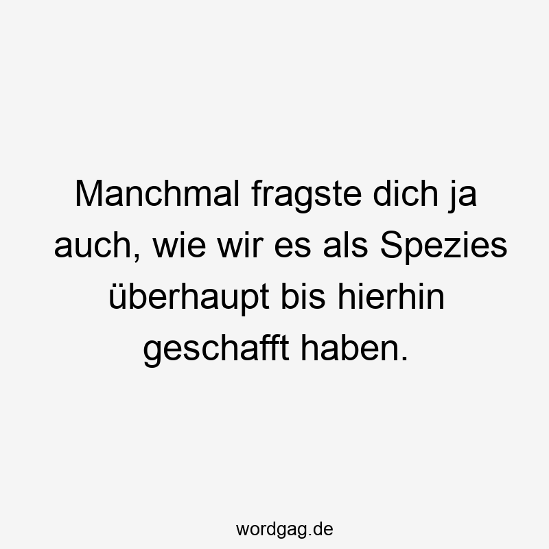 Manchmal fragste dich ja auch, wie wir es als Spezies überhaupt bis hierhin geschafft haben.