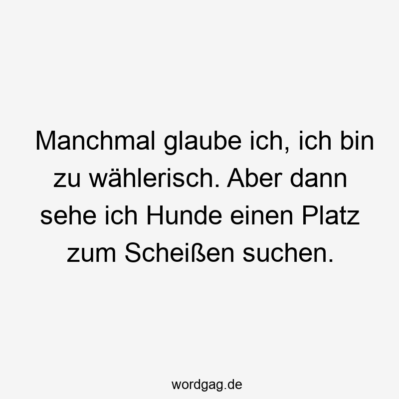 Manchmal glaube ich, ich bin zu wählerisch. Aber dann sehe ich Hunde einen Platz zum Scheißen suchen.