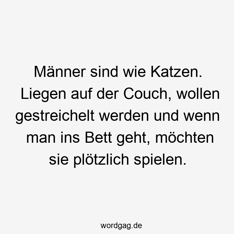 Männer sind wie Katzen. Liegen auf der Couch, wollen gestreichelt werden und wenn man ins Bett geht, möchten sie plötzlich spielen.