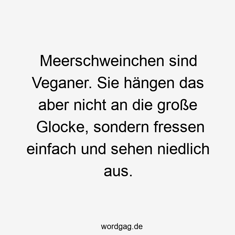 67 Lustige große Sprüche - Meerschweinchen sind Veganer. Sie hängen das aber nicht an die große Glocke, sondern fressen einfach und sehen niedlich aus.