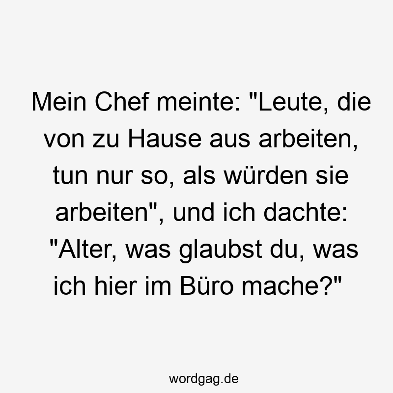 Mein Chef meinte: „Leute, die von zu Hause aus arbeiten, tun nur so, als würden sie arbeiten“, und ich dachte: „Alter, was glaubst du, was ich hier im Büro mache?“