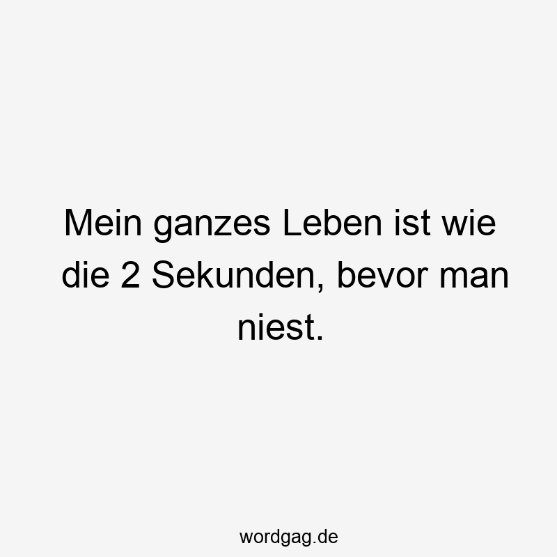Mein ganzes Leben ist wie die 2 Sekunden, bevor man niest.