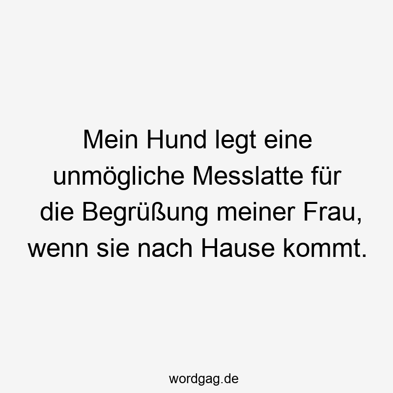 Mein Hund legt eine unmögliche Messlatte für die Begrüßung meiner Frau, wenn sie nach Hause kommt.