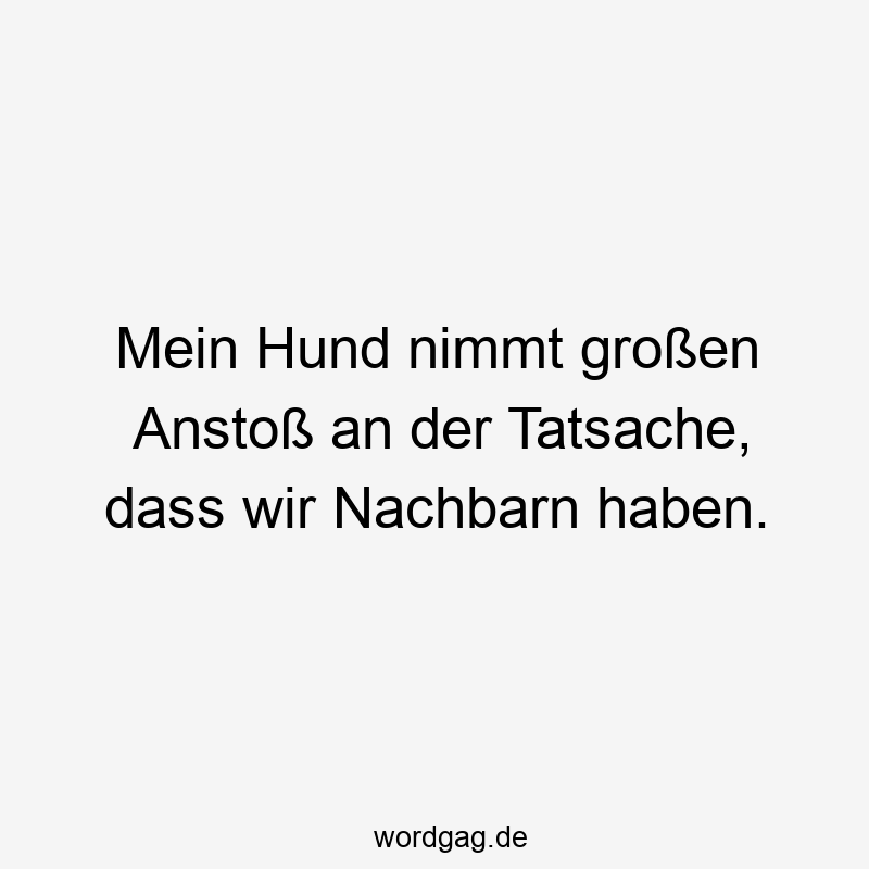 Mein Hund nimmt großen Anstoß an der Tatsache, dass wir Nachbarn haben.