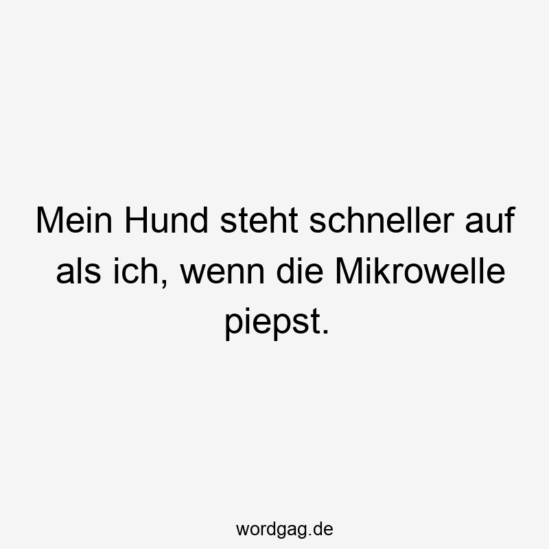Mein Hund steht schneller auf als ich, wenn die Mikrowelle piepst.