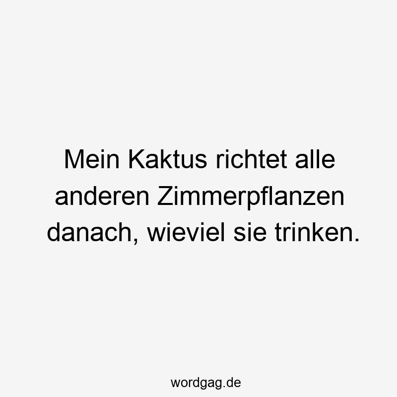 Kaktus - Mein Kaktus richtet alle anderen Zimmerpflanzen danach, wieviel sie trinken.
