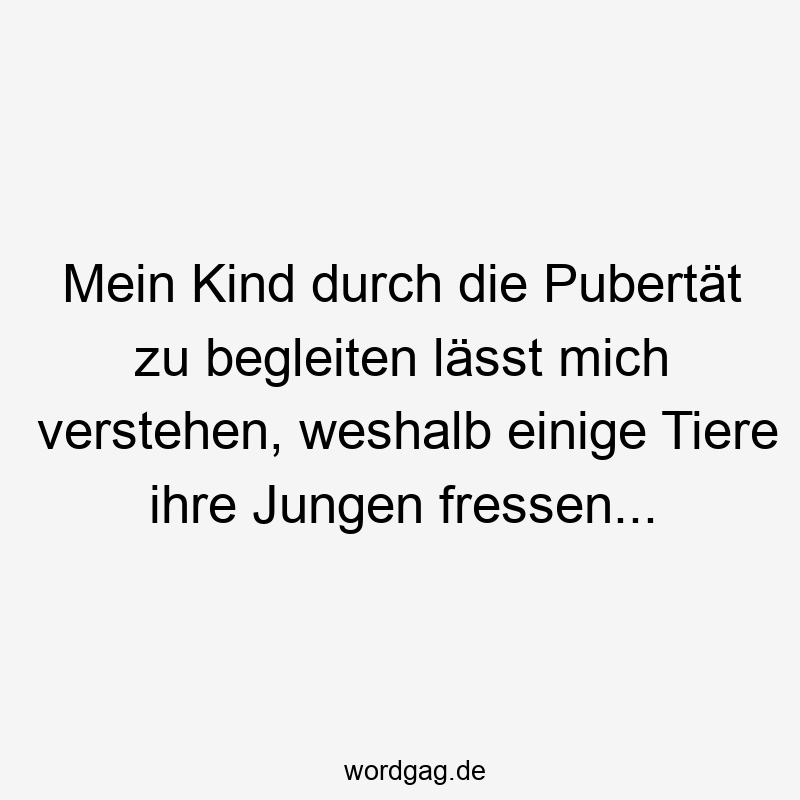 Mein Kind durch die Pubertät zu begleiten lässt mich verstehen, weshalb einige Tiere ihre Jungen fressen…