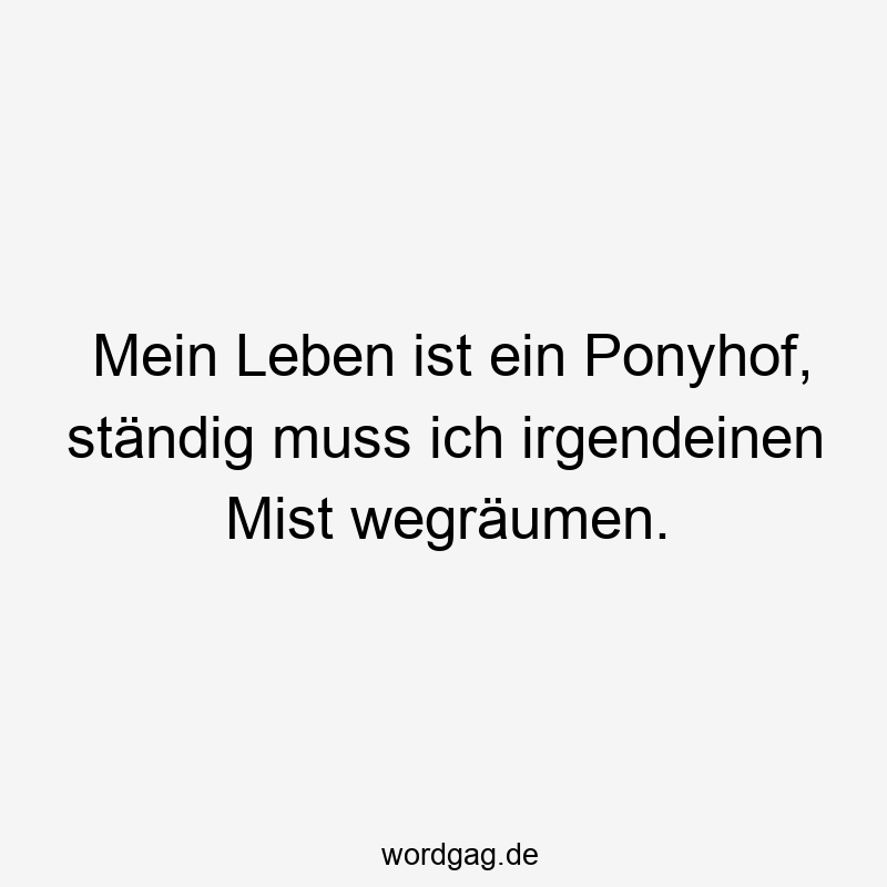 Mein Leben ist ein Ponyhof, ständig muss ich irgendeinen Mist wegräumen.