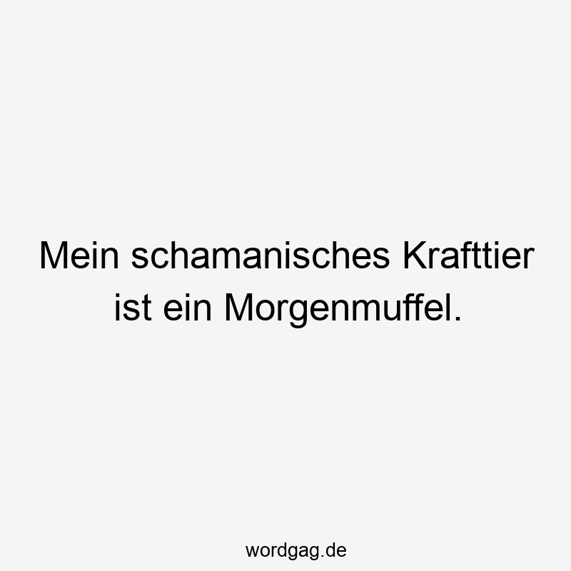 Mein schamanisches Krafttier ist ein Morgenmuffel.