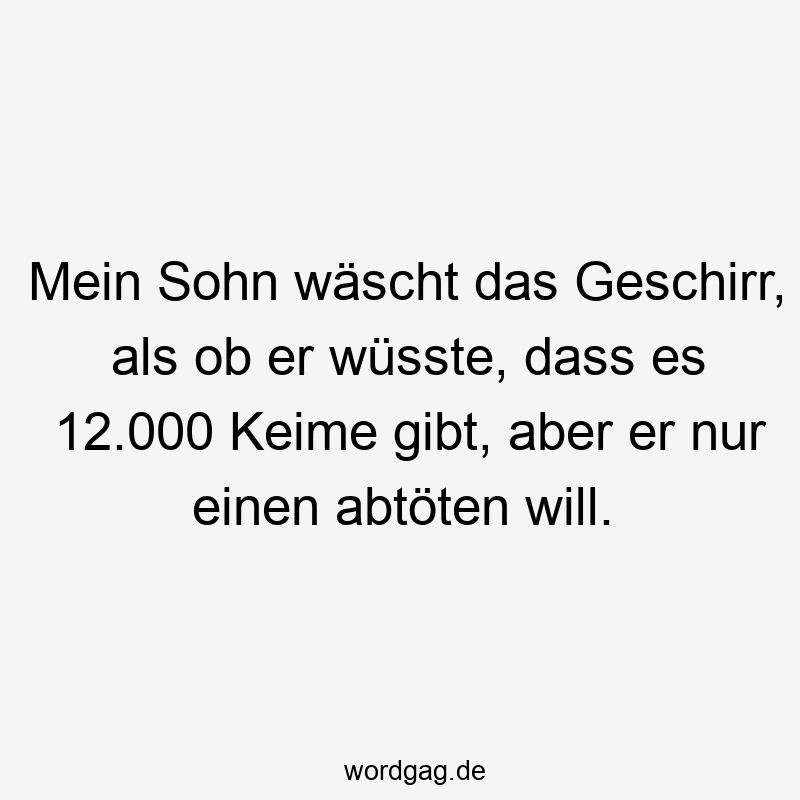 Lustige Sprüche: Putzen - Mein Sohn wäscht das Geschirr, als ob er wüsste, dass es 12.000 Keime gibt, aber er nur einen abtöten will.