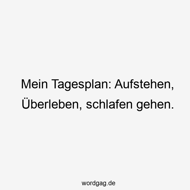 Mein Tagesplan: Aufstehen, Überleben, schlafen gehen.