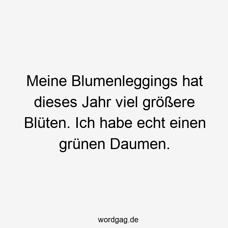 Meine Blumenleggings hat dieses Jahr viel größere Blüten. Ich habe echt einen grünen Daumen.