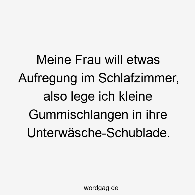 Meine Frau will etwas Aufregung im Schlafzimmer, also lege ich kleine Gummischlangen in ihre Unterwäsche-Schublade.