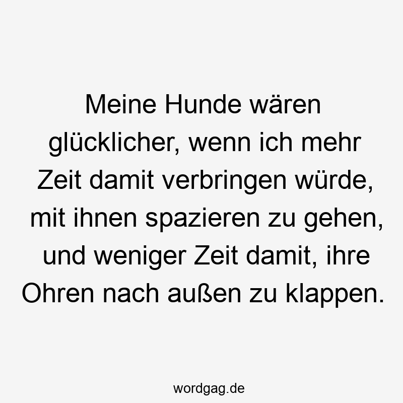 Meine Hunde wären glücklicher, wenn ich mehr Zeit damit verbringen würde, mit ihnen spazieren zu gehen, und weniger Zeit damit, ihre Ohren nach außen zu klappen.