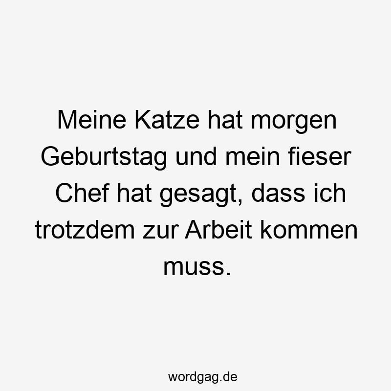 Lustige Sprüche: Geburtstag - Meine Katze hat morgen Geburtstag und mein fieser Chef hat gesagt, dass ich trotzdem zur Arbeit kommen muss.