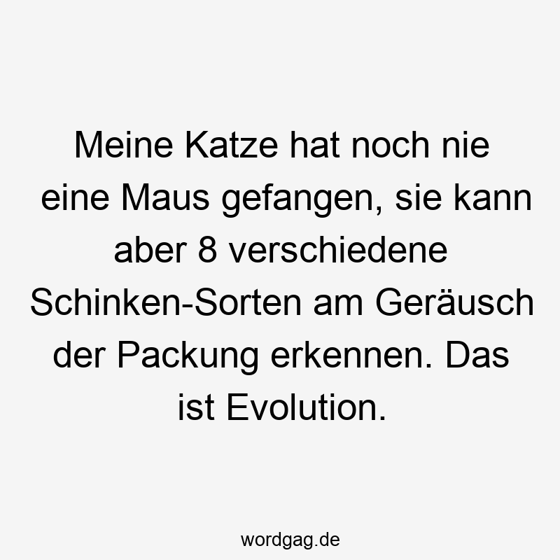 Meine Katze hat noch nie eine Maus gefangen, sie kann aber 8 verschiedene Schinken-Sorten am Geräusch der Packung erkennen. Das ist Evolution.