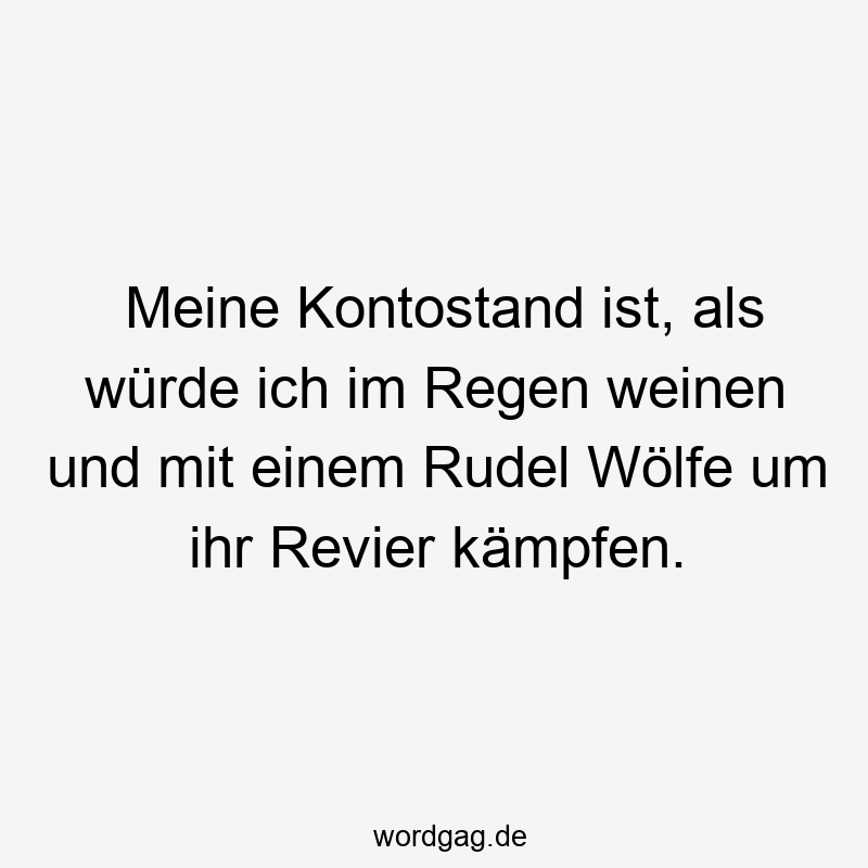 Meine Kontostand ist, als würde ich im Regen weinen und mit einem Rudel Wölfe um ihr Revier kämpfen.