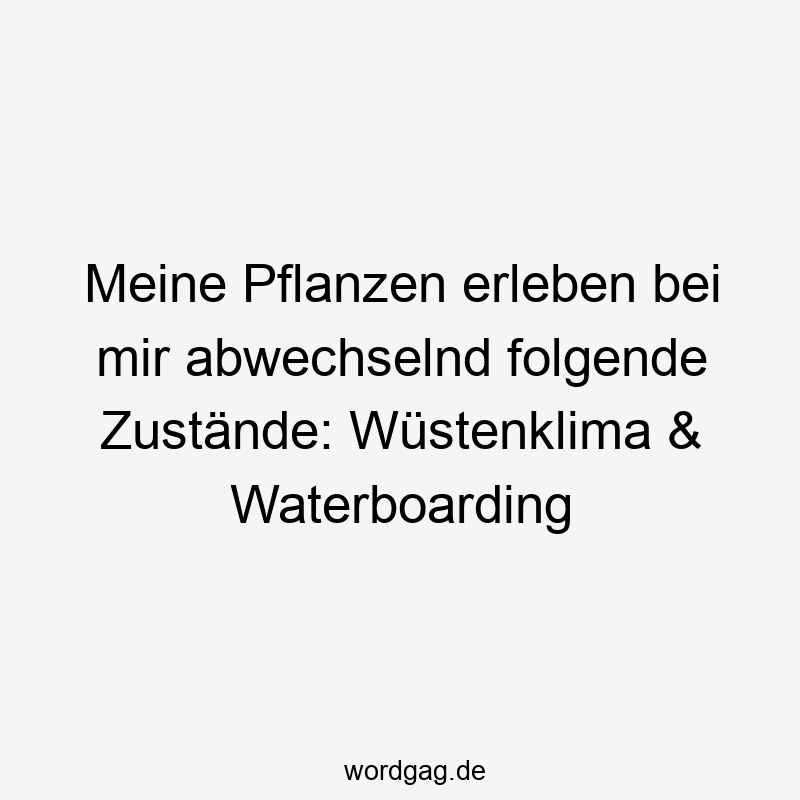 Meine Pflanzen erleben bei mir abwechselnd folgende Zustände: Wüstenklima & Waterboarding