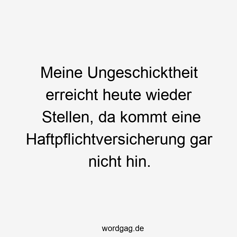 Meine Ungeschicktheit erreicht heute wieder Stellen, da kommt eine Haftpflichtversicherung gar nicht hin.