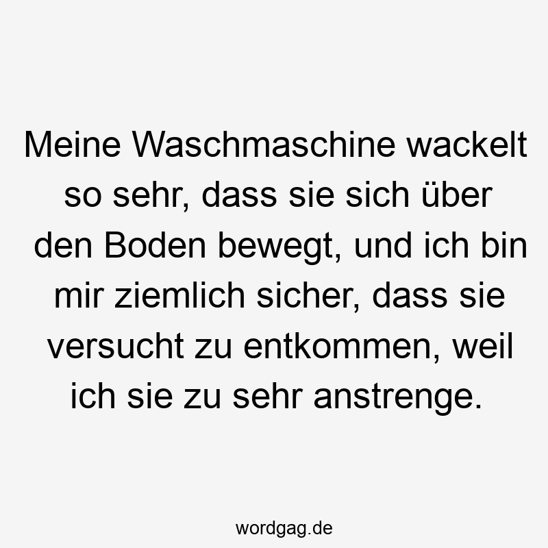 Meine Waschmaschine wackelt so sehr, dass sie sich über den Boden bewegt, und ich bin mir ziemlich sicher, dass sie versucht zu entkommen, weil ich sie zu sehr anstrenge.