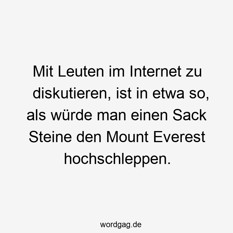 Mit Leuten im Internet zu diskutieren, ist in etwa so, als würde man einen Sack Steine den Mount Everest hochschleppen.