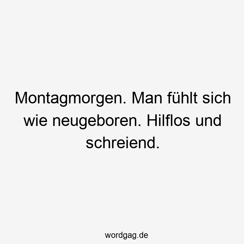 Montagmorgen. Man fühlt sich wie neugeboren. Hilflos und schreiend.