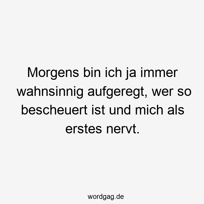 57 Lustige Nerven Sprüche - Morgens bin ich ja immer wahnsinnig aufgeregt, wer so bescheuert ist und mich als erstes nervt.