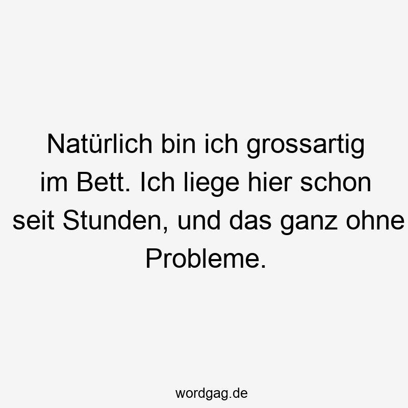Natürlich bin ich grossartig im Bett. Ich liege hier schon seit Stunden, und das ganz ohne Probleme.