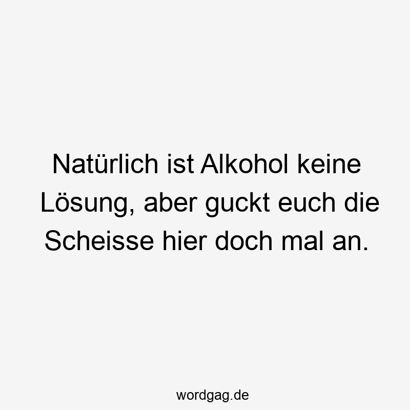 Natürlich ist Alkohol keine Lösung, aber guckt euch die Scheisse hier doch mal an.