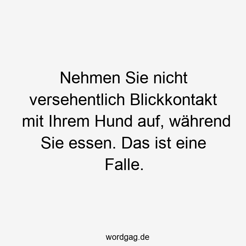 Nehmen Sie nicht versehentlich Blickkontakt mit Ihrem Hund auf, während Sie essen. Das ist eine Falle.