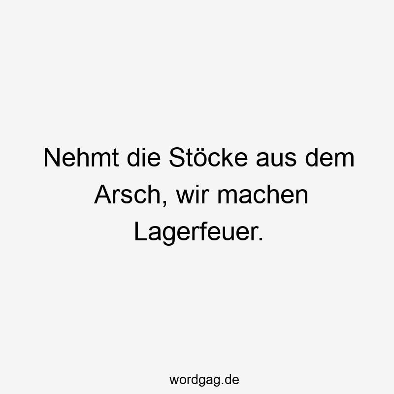 Lustige Sprüche: Natur - Nehmt die Stöcke aus dem Arsch, wir machen Lagerfeuer.