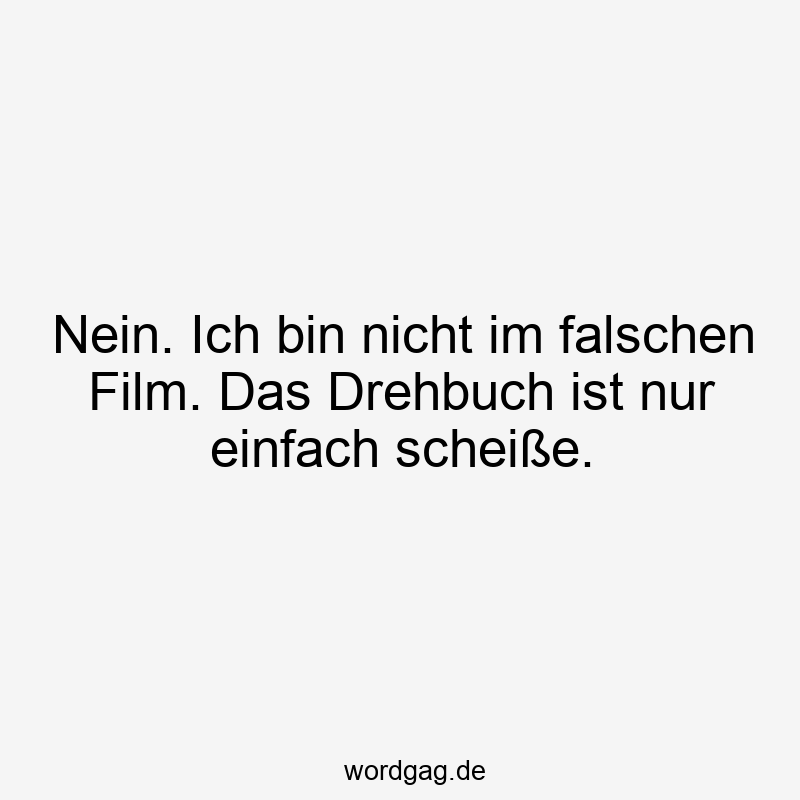 Lustige Sprüche: Drehbuch - Nein. Ich bin nicht im falschen Film. Das Drehbuch ist nur einfach scheiße.
