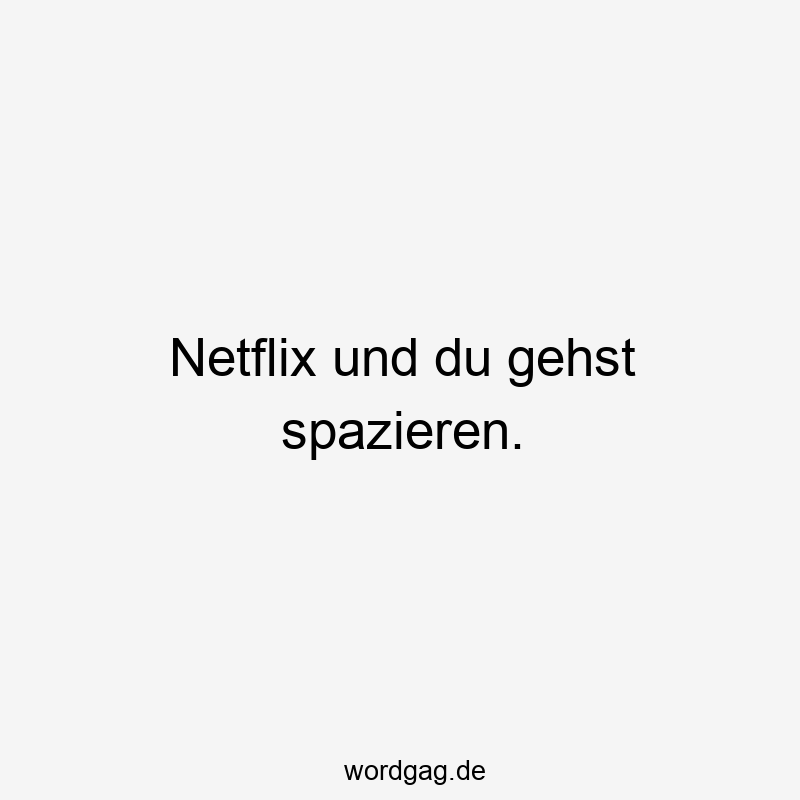 146 Lustige Freizeit Sprüche - Netflix und du gehst spazieren.