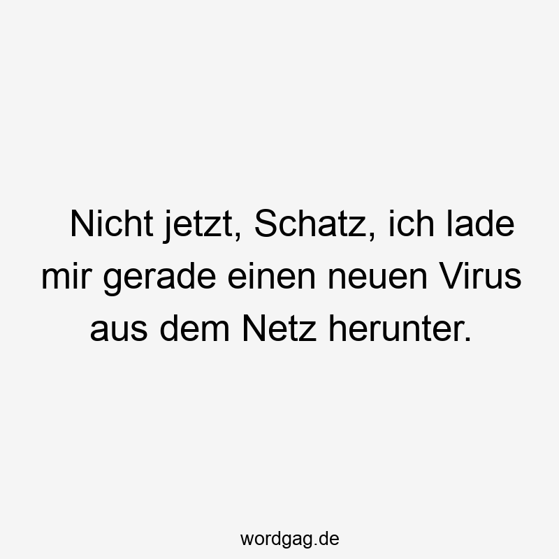 Nicht jetzt, Schatz, ich lade mir gerade einen neuen Virus aus dem Netz herunter.