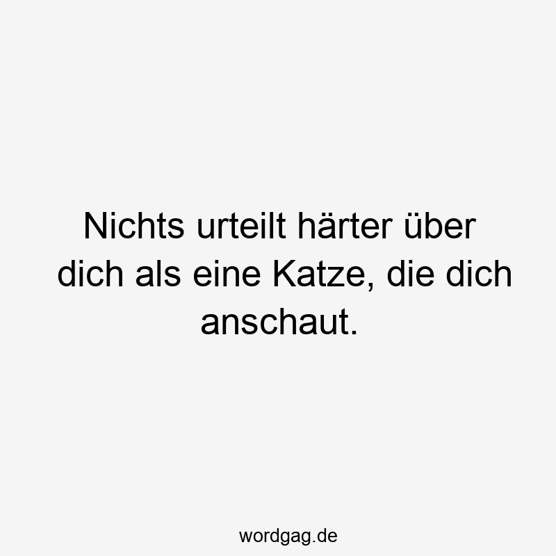 Nichts urteilt härter über dich als eine Katze, die dich anschaut.