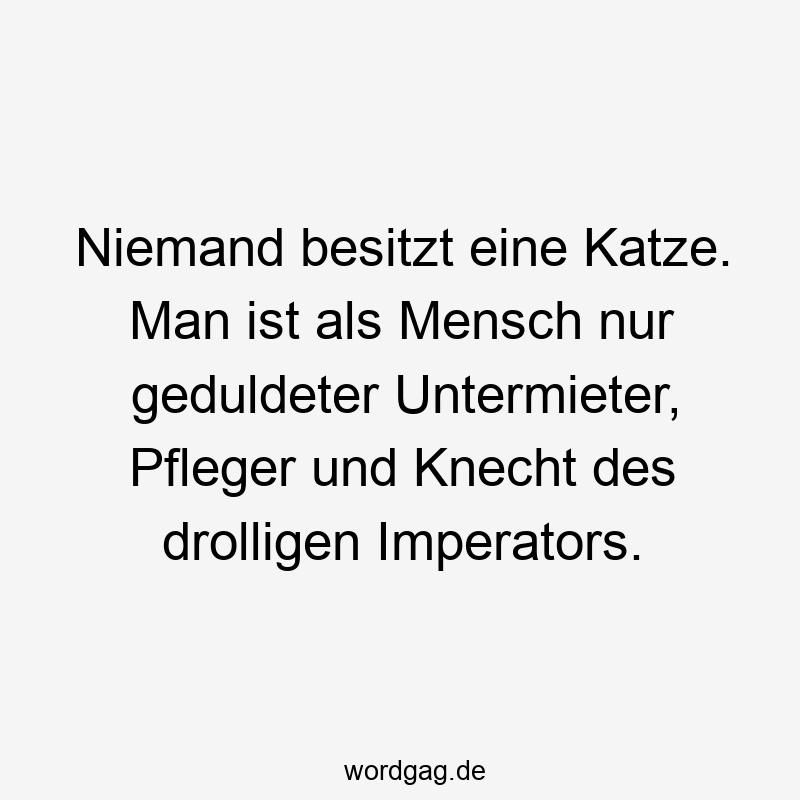 Niemand besitzt eine Katze. Man ist als Mensch nur geduldeter Untermieter, Pfleger und Knecht des drolligen Imperators.
