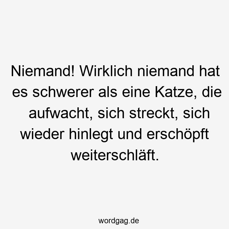Niemand! Wirklich niemand hat es schwerer als eine Katze, die aufwacht, sich streckt, sich wieder hinlegt und erschöpft weiterschläft.