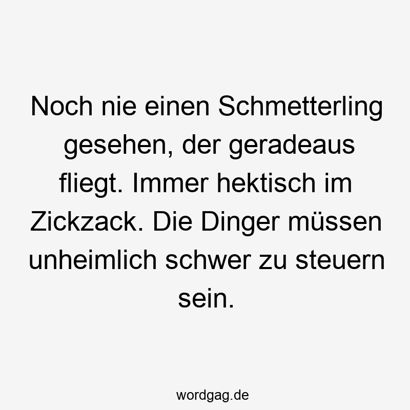 Noch nie einen Schmetterling gesehen, der geradeaus fliegt. Immer hektisch im Zickzack. Die Dinger müssen unheimlich schwer zu steuern sein.