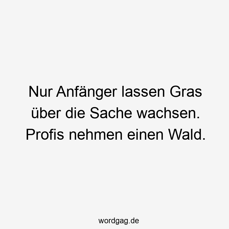 195 Lustige lassen Sprüche - Nur Anfänger lassen Gras über die Sache wachsen. Profis nehmen einen Wald.