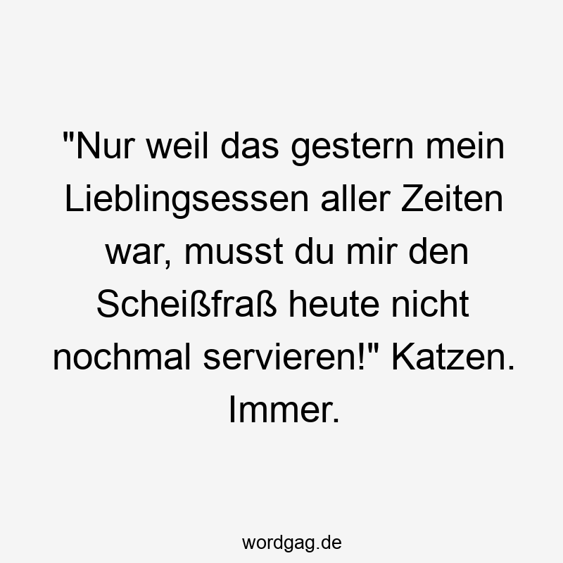 „Nur weil das gestern mein Lieblingsessen aller Zeiten war, musst du mir den Scheißfraß heute nicht nochmal servieren!“ Katzen. Immer.