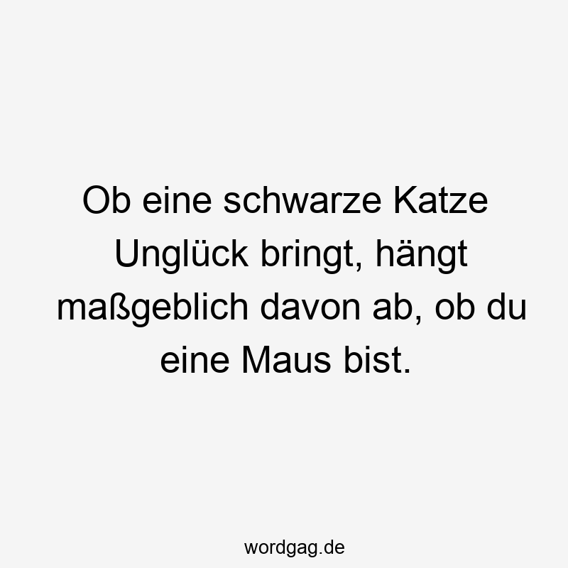 Ob eine schwarze Katze Unglück bringt, hängt maßgeblich davon ab, ob du eine Maus bist.