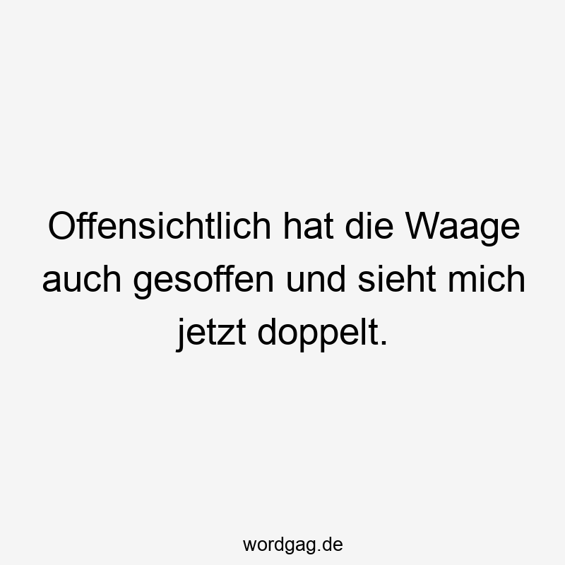 Lustige gesoffen Sprüche - Offensichtlich hat die Waage auch gesoffen und sieht mich jetzt doppelt.