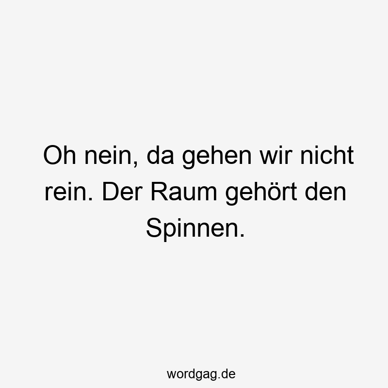 Oh nein, da gehen wir nicht rein. Der Raum gehört den Spinnen.