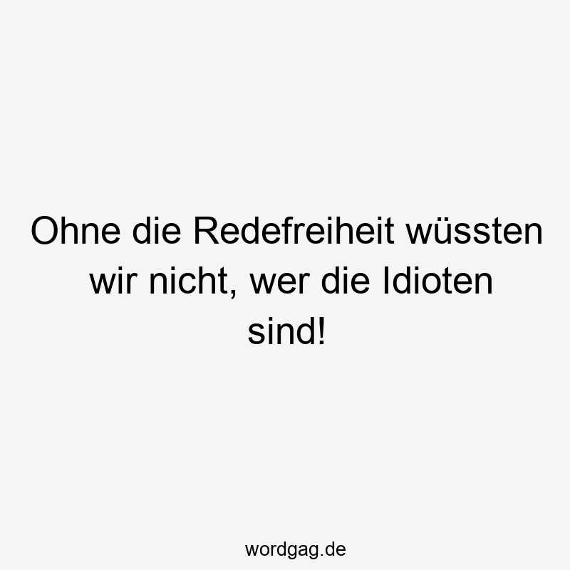 156 Lustige Freiheit Sprüche - Ohne die Redefreiheit wüssten wir nicht, wer die Idioten sind!