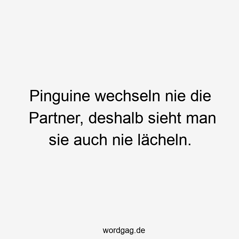 Pinguine wechseln nie die Partner, deshalb sieht man sie auch nie lächeln.