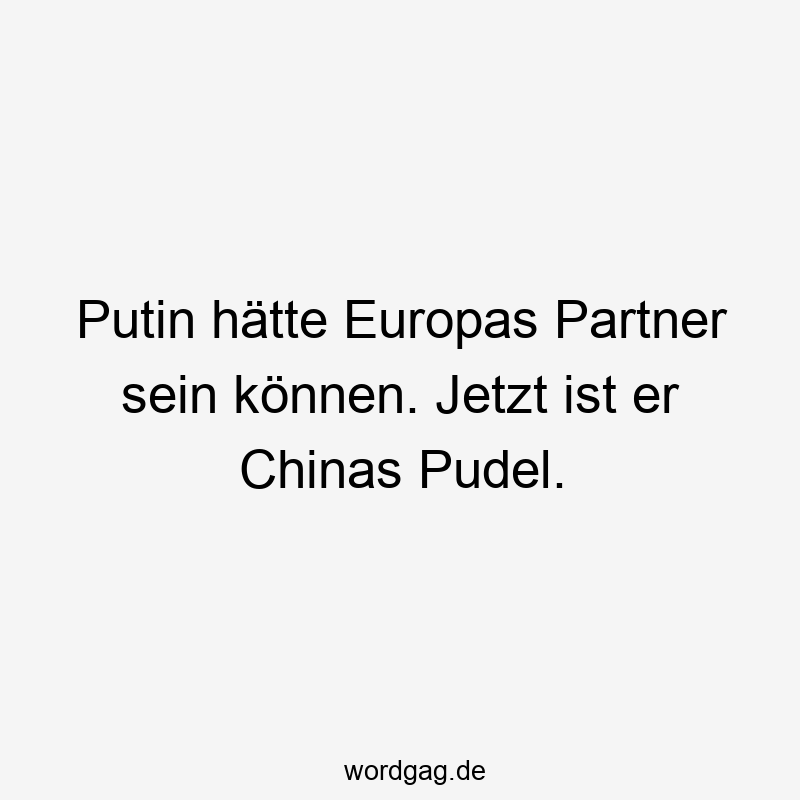 Putin hätte Europas Partner sein können. Jetzt ist er Chinas Pudel.