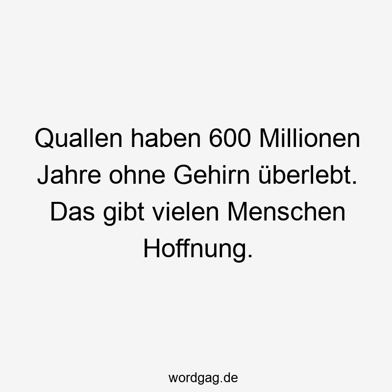 Quallen haben 600 Millionen Jahre ohne Gehirn überlebt. Das gibt vielen Menschen Hoffnung.