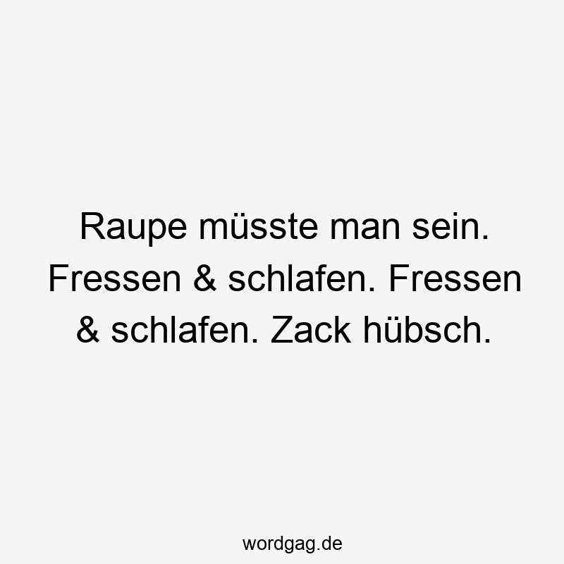 Raupe müsste man sein. Fressen & schlafen. Fressen & schlafen. Zack hübsch.